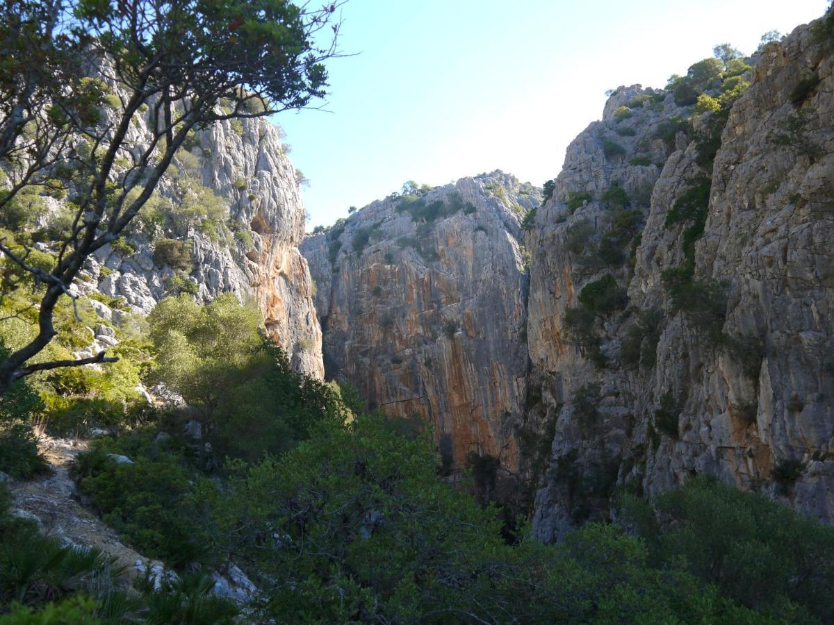 Casa Rural Guadiaro El Colmenar ภายนอก รูปภาพ